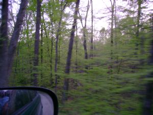 Click for Large Version