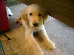 Click for Large Version