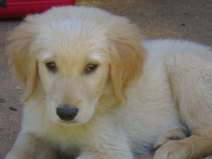 Click for Large Version