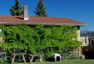 Click for Large Version