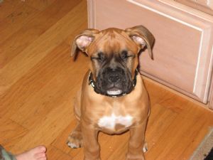 Click for Large Version