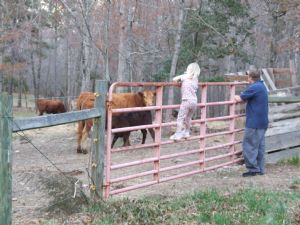 Click for Large Version