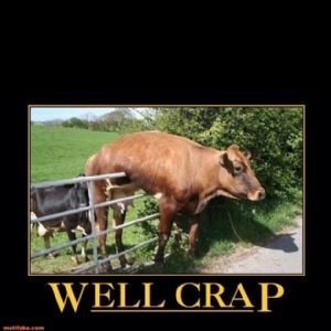 Click for Large Version