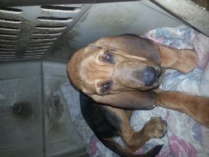 Click for Large Version