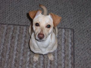 Click for Large Version