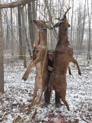 Click for Large Version