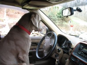 Click for Large Version