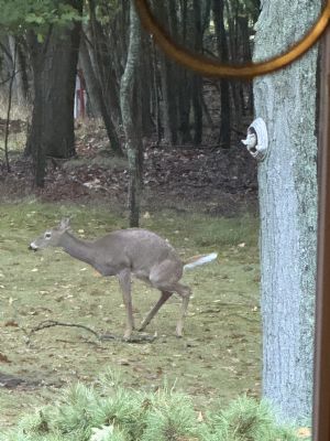 Click for Large Version