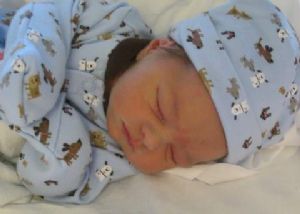 Click for Large Version