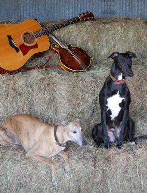 Click for Large Version