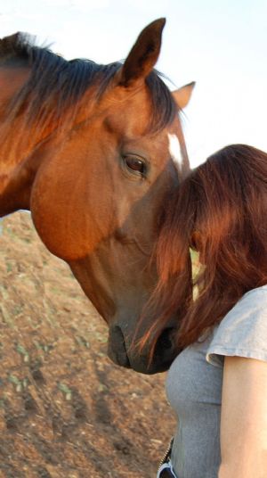 Click for Large Version