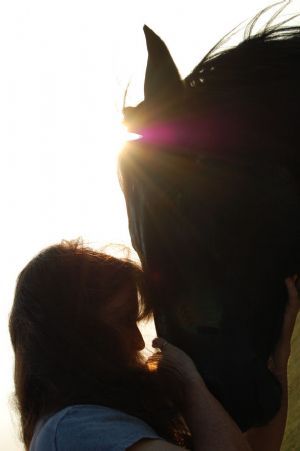 Click for Large Version