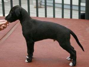 Click for Large Version