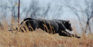 Click for Large Version