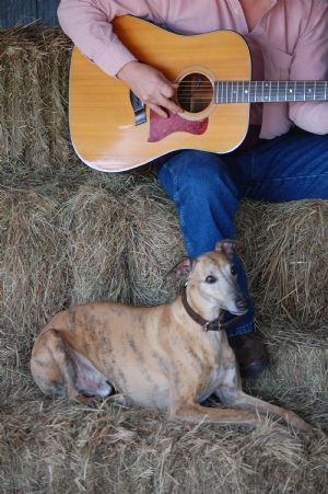 Click for Large Version