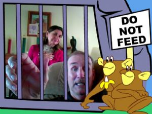 Click for Large Version