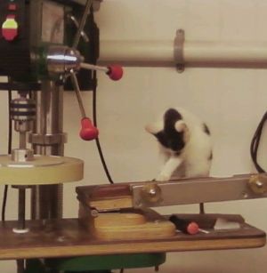 Click for Large Version