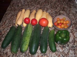 Click for Large Version