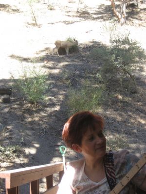 Click for Large Version