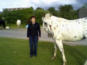 Click for Large Version