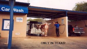 Click for Large Version