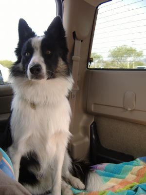 Click for Large Version