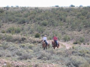 Click for Large Version