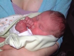 Click for Large Version