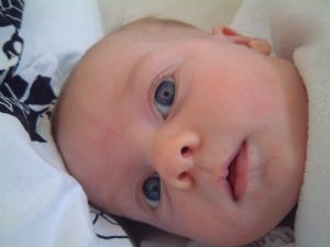 Click for Large Version