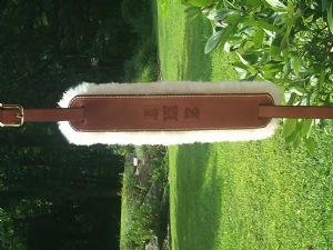 Click for Large Version