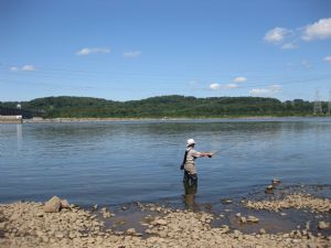 Click for Large Version