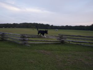 Click for Large Version