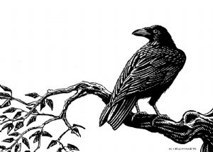 Click for Large Version