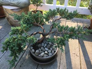 Click for Large Version