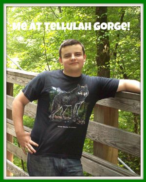 Click for Large Version