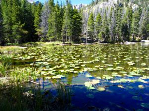 Click for Large Version