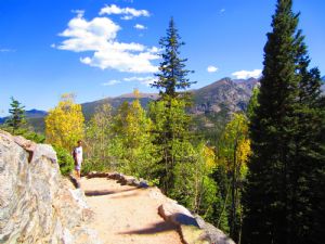 Click for Large Version