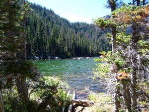 Click for Large Version