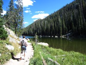 Click for Large Version