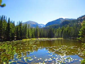 Click for Large Version