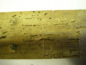 Click for Large Version