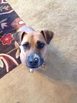 Click for Large Version