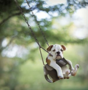 Click for Large Version