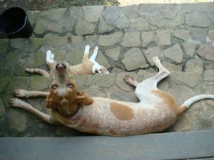 Click for Large Version