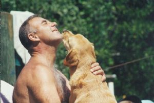 Click for Large Version