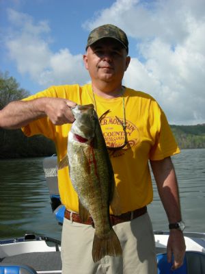 Click for Large Version