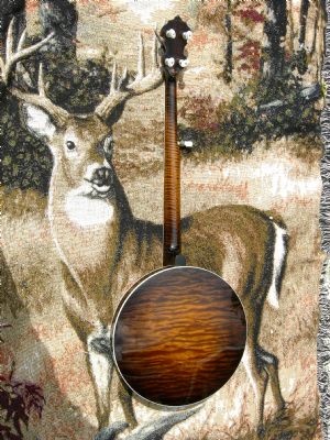 Click for Large Version