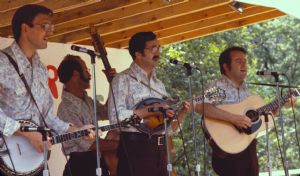 Click for Large Version