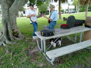 Click for Large Version