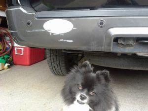 Click for Large Version